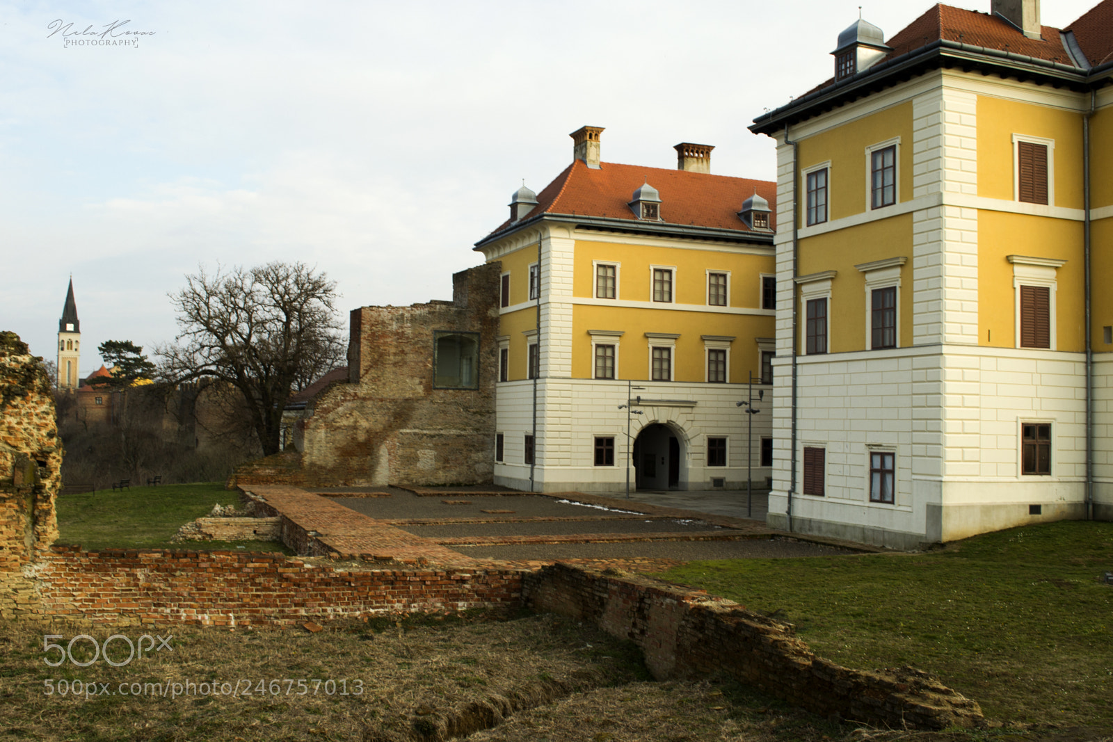 Nikon D3100 sample photo. Odeschalci castle photography