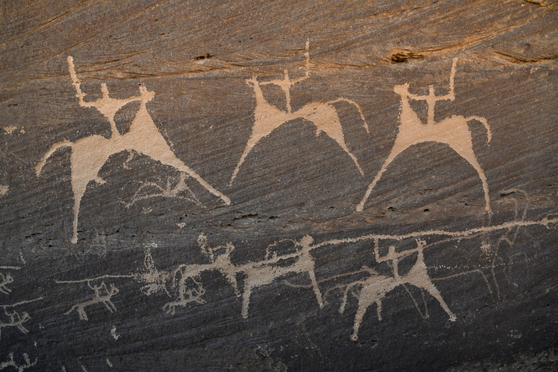 Nikon D500 sample photo. Rock art photography