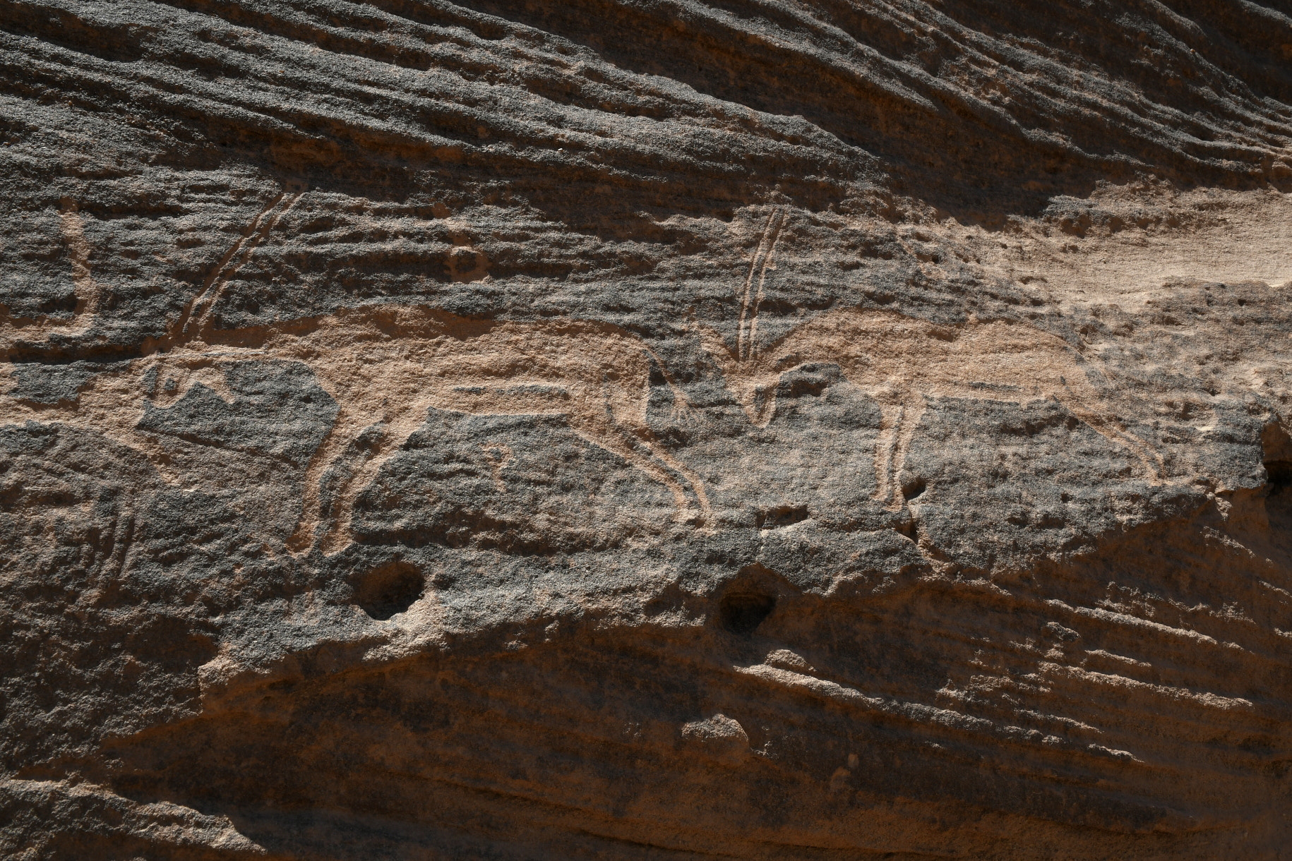 Nikon D500 sample photo. Rock art photography