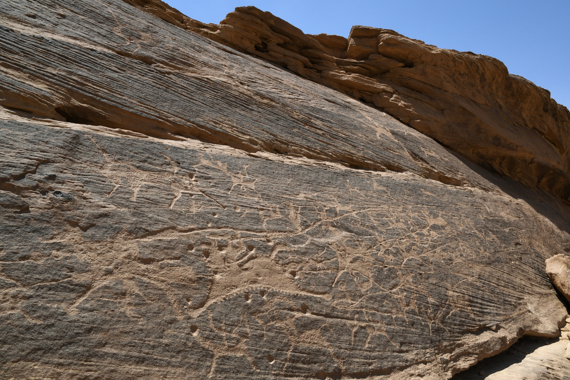 Nikon D500 sample photo. Rock art photography