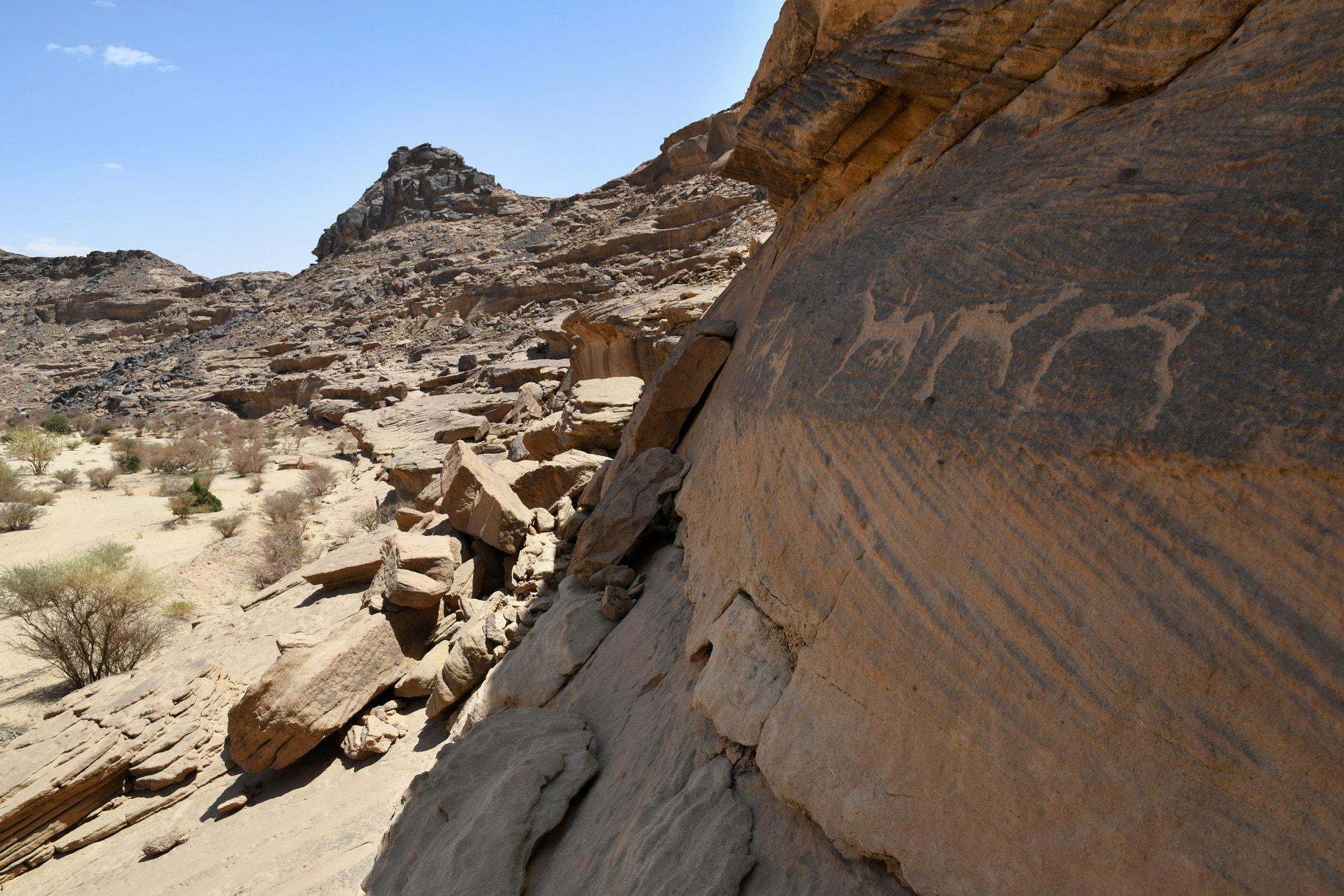 Nikon D500 sample photo. Rock art photography