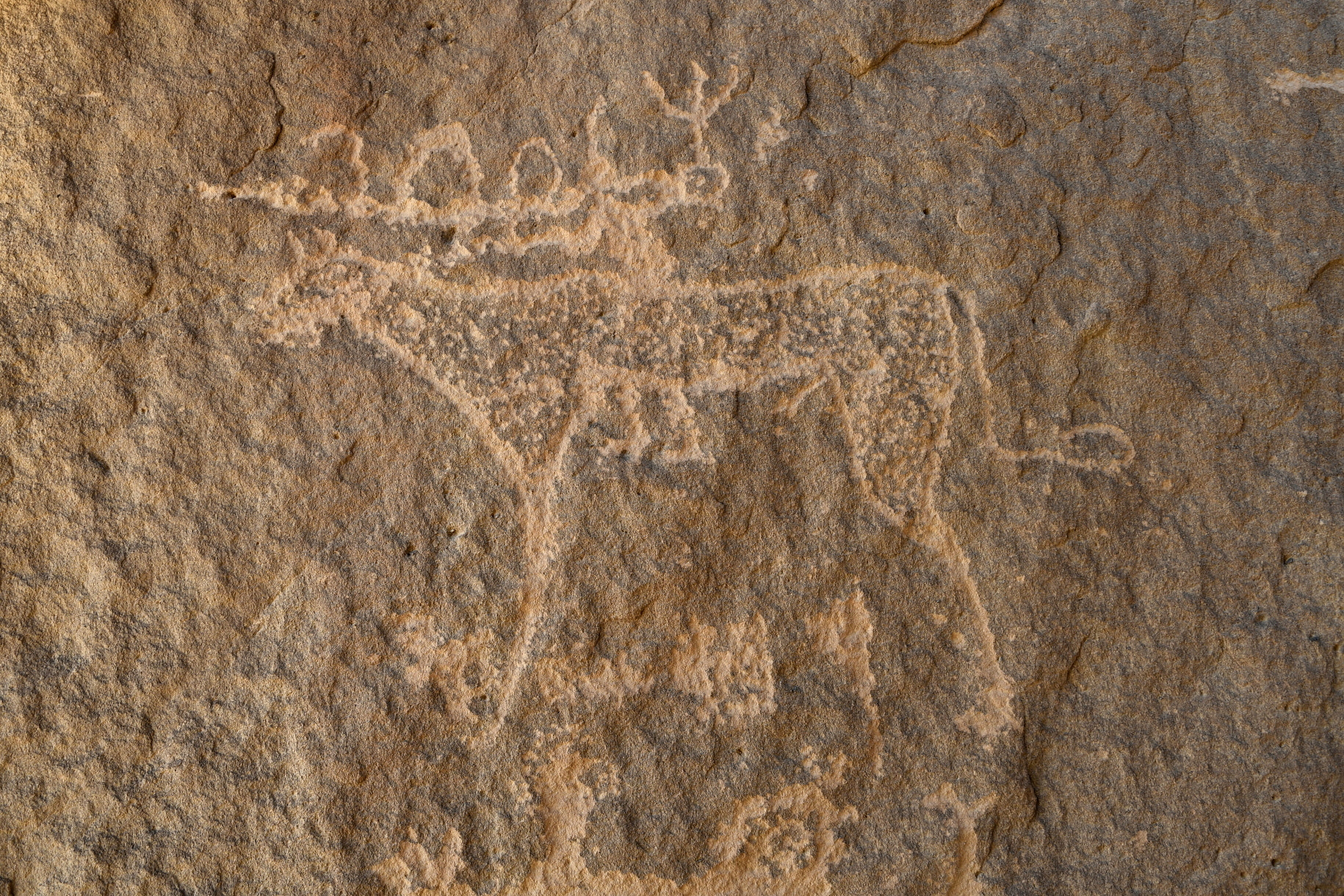 Nikon D500 sample photo. Rock art photography