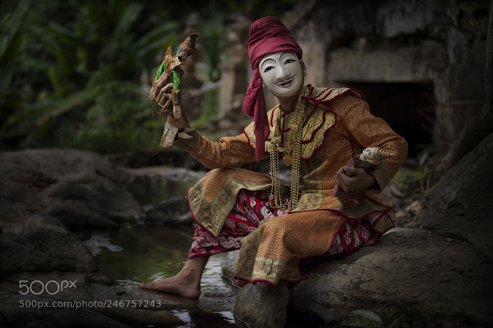Nikon D4S sample photo. Burmese fancy mask photography