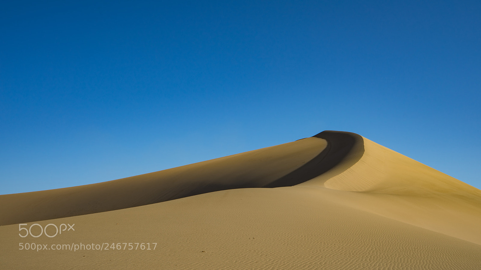 Sony a7 II sample photo. Dunhuang desert 敦煌沙漠 photography