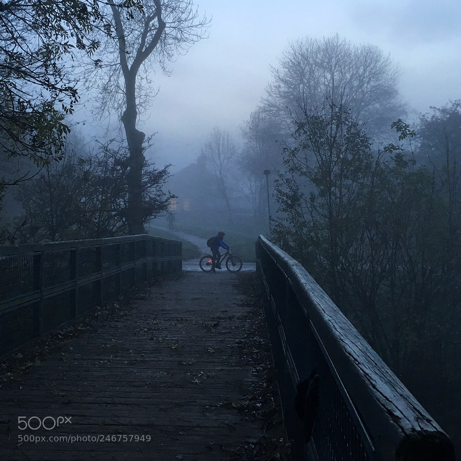 Apple iPhone 6s sample photo. Misty morning photography