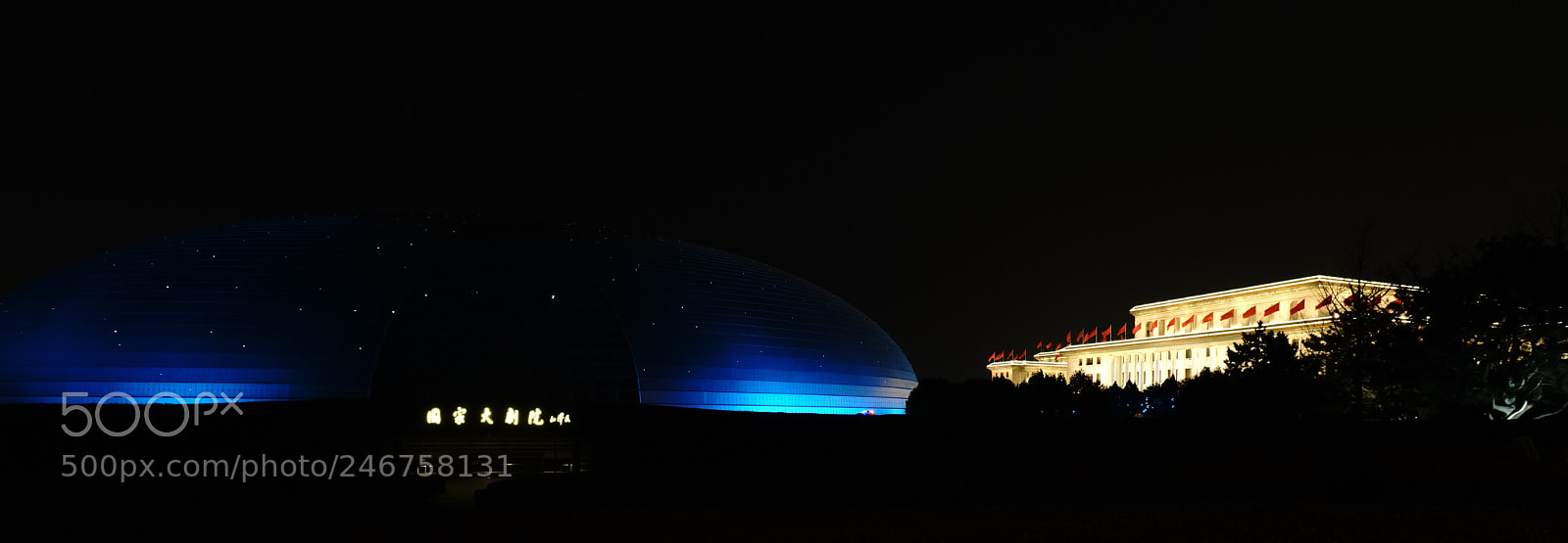 Sony a7R II sample photo. Beijing national grand theater photography