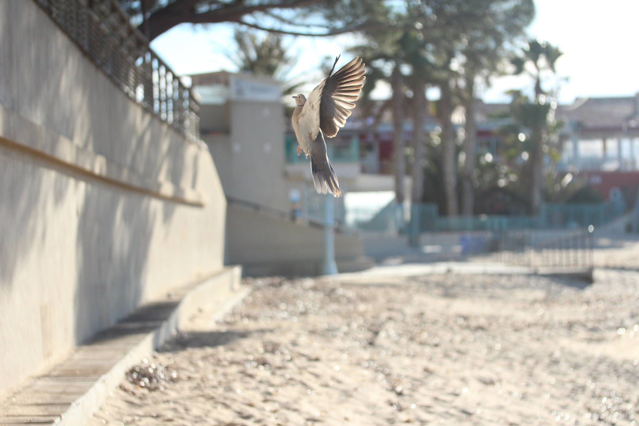 Canon EF-S 60mm F2.8 Macro USM sample photo. Img photography