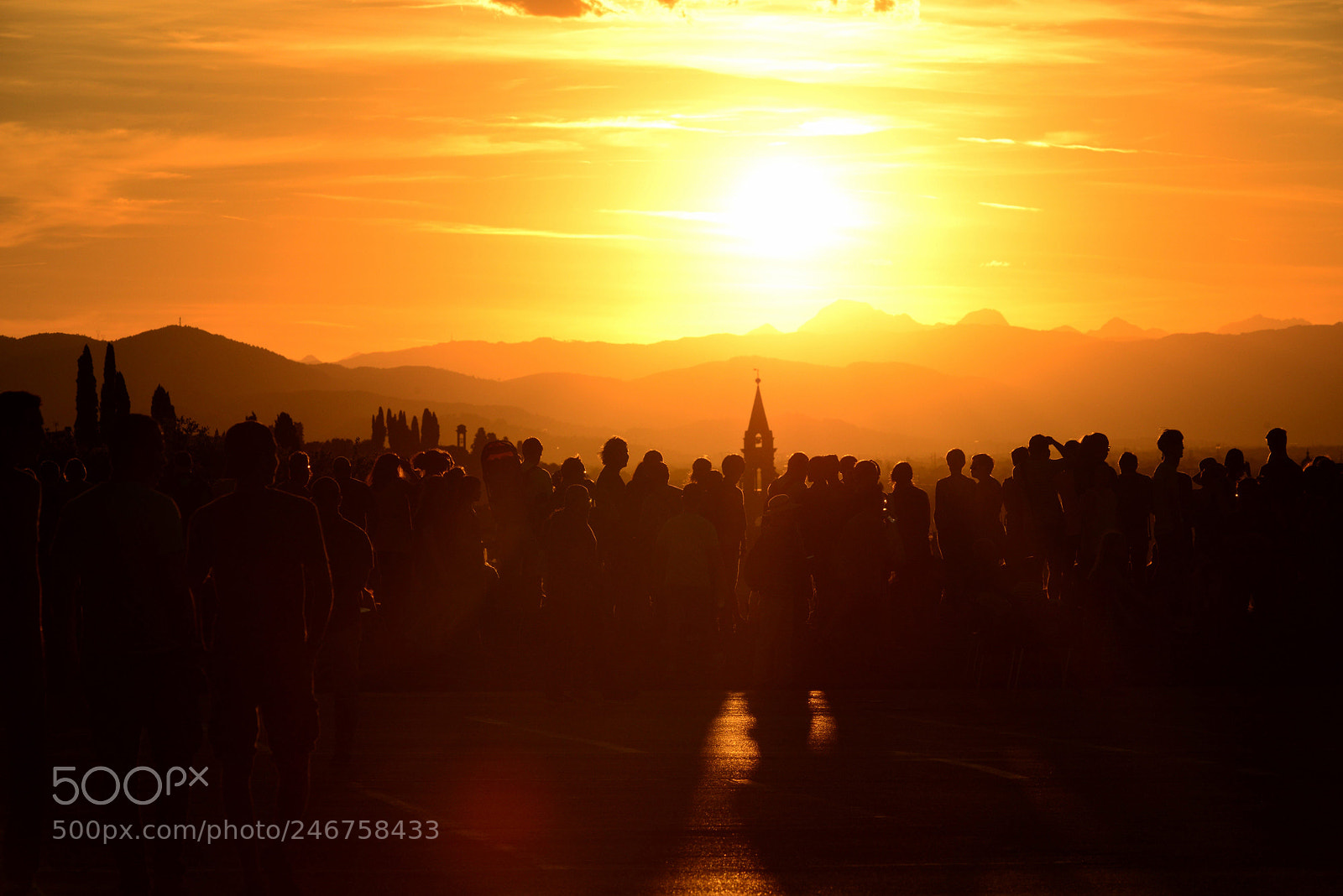 Nikon D800 sample photo. Looking toward bellosguardo photography