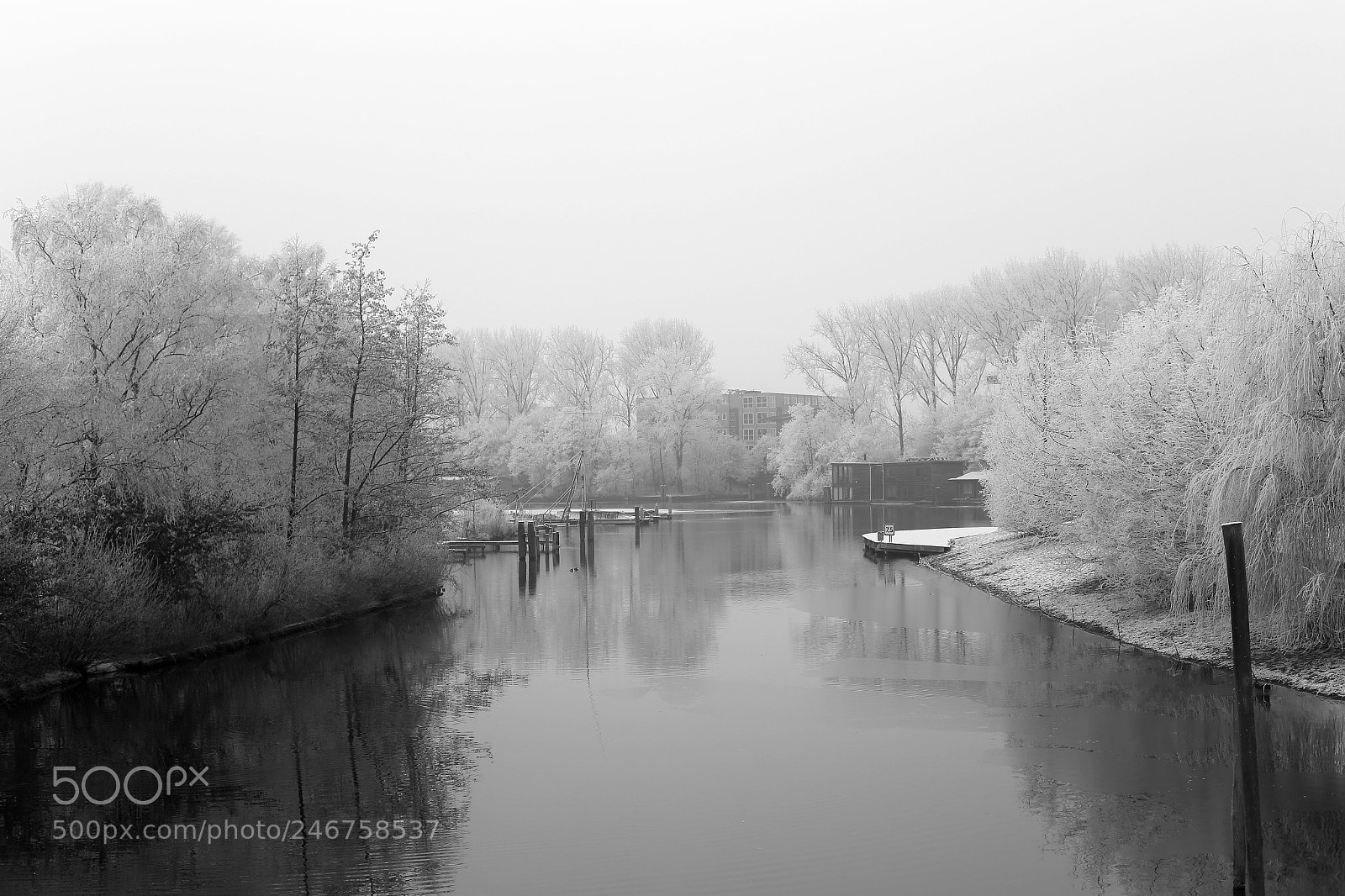 Canon EOS 6D sample photo. Winter calm photography