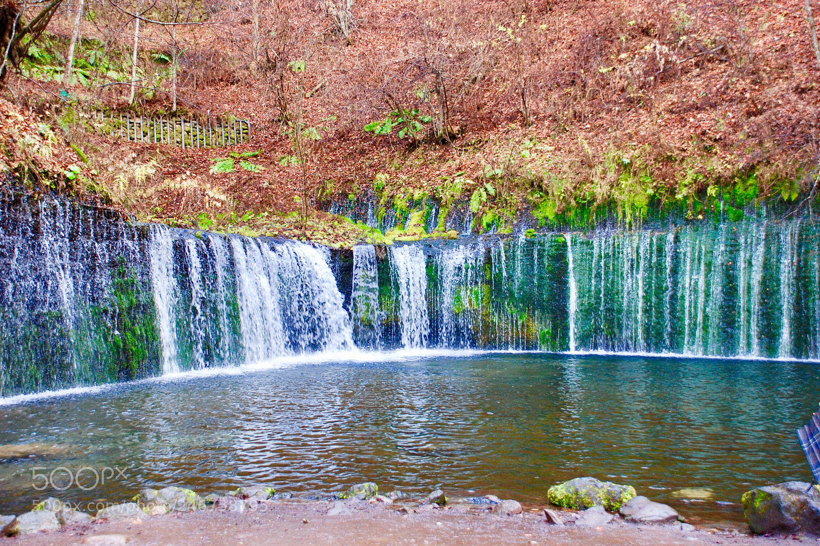 Nikon D80 sample photo. Japan/karuizawa 日本/輕井澤 (180220)* photography