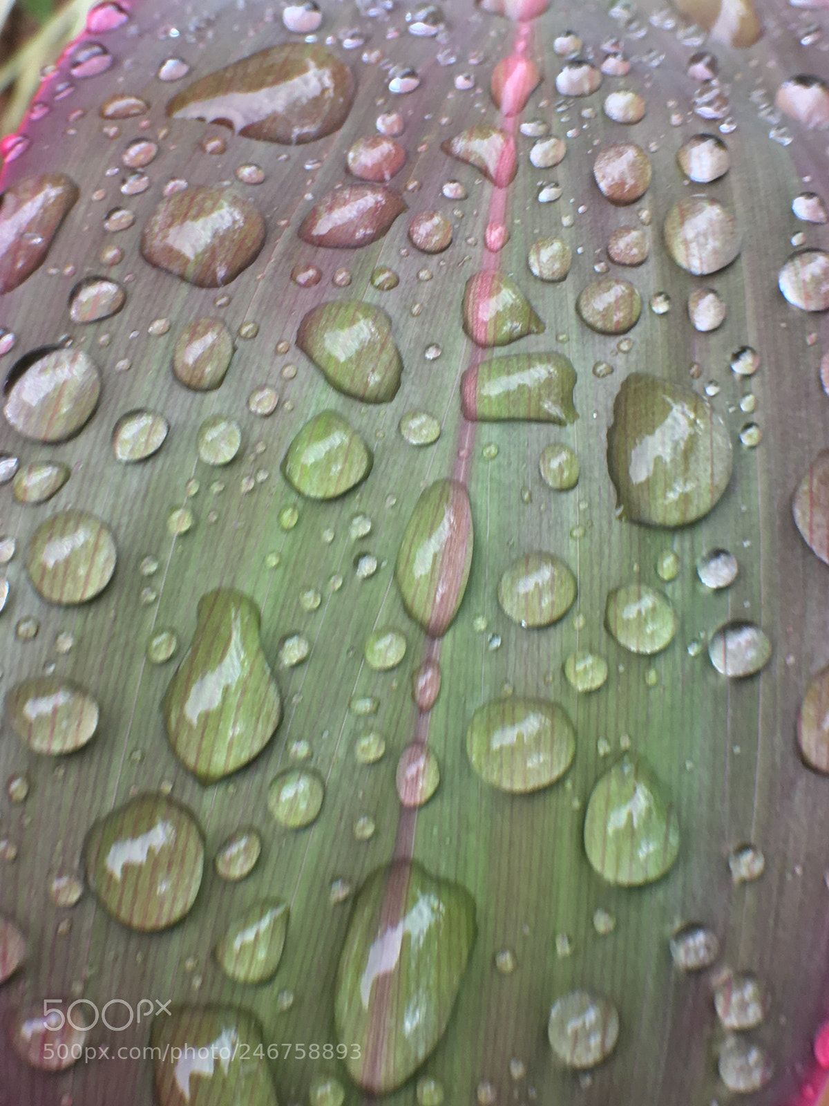 Apple iPhone 6s sample photo. Cuando el cielo llora photography