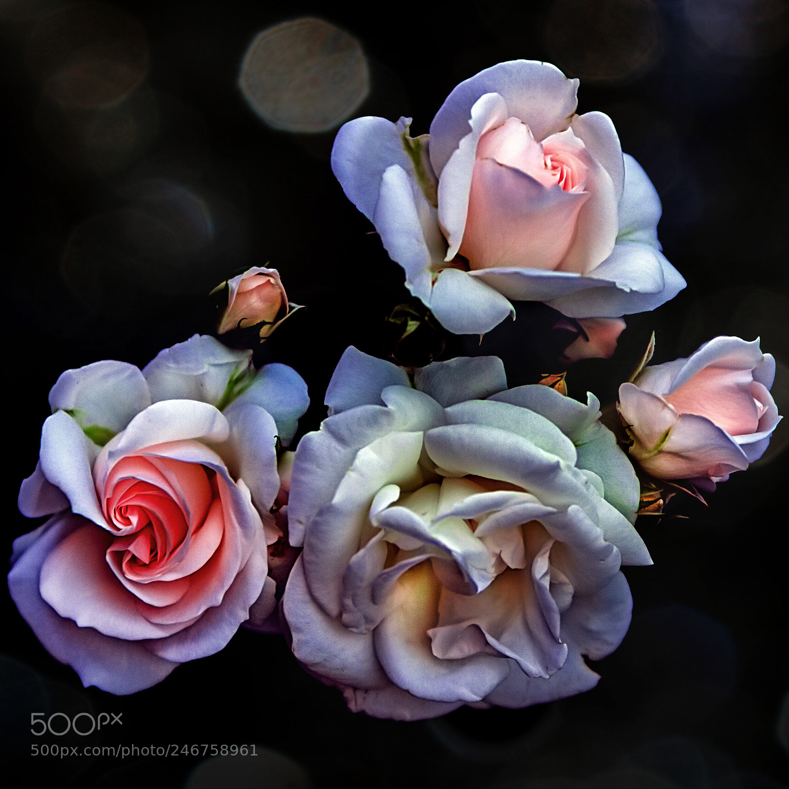 Canon EOS 7D sample photo. Bouquet photography