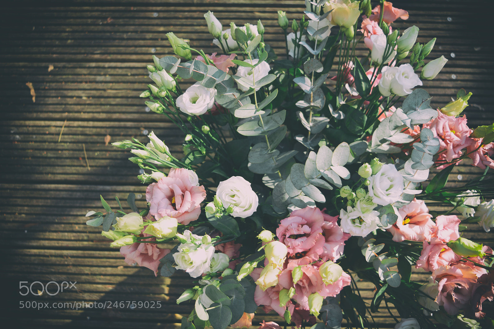 Nikon D7100 sample photo. Flowers photography