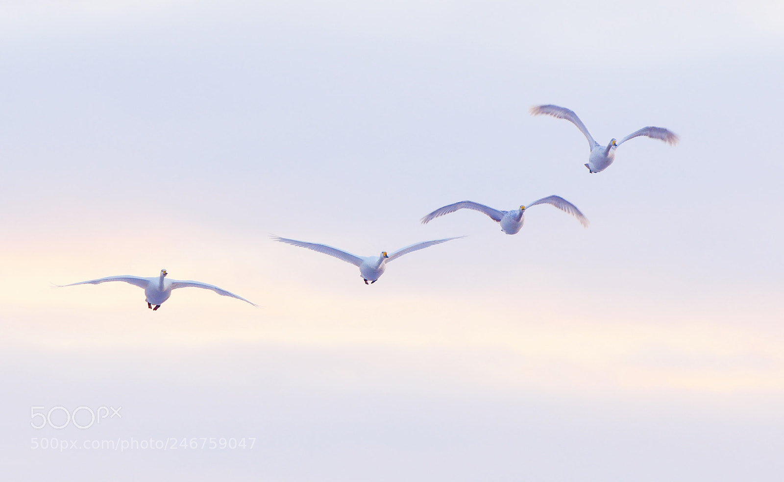 Nikon D850 sample photo. Hokkaido 北海道 photography