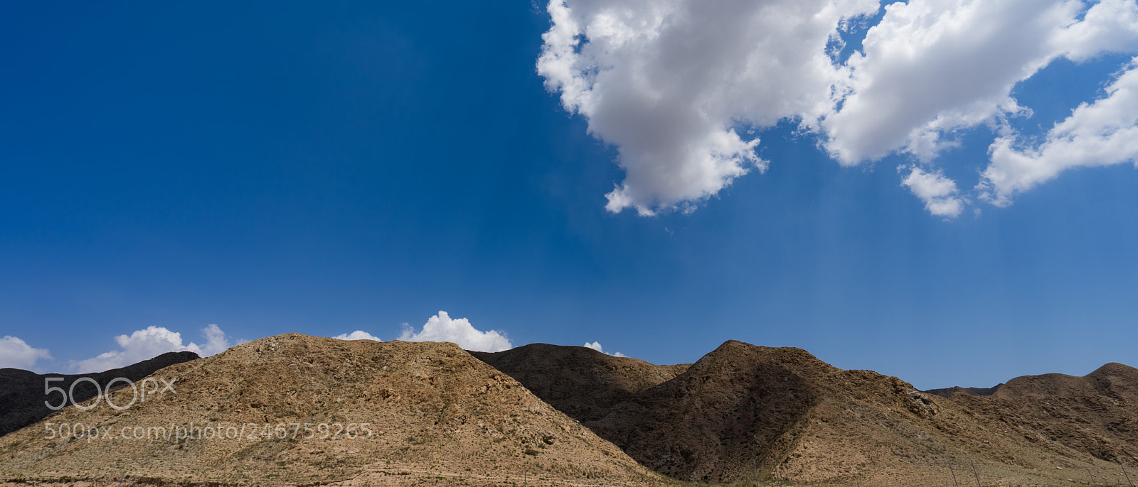 Sony a7 II sample photo. On the way to photography