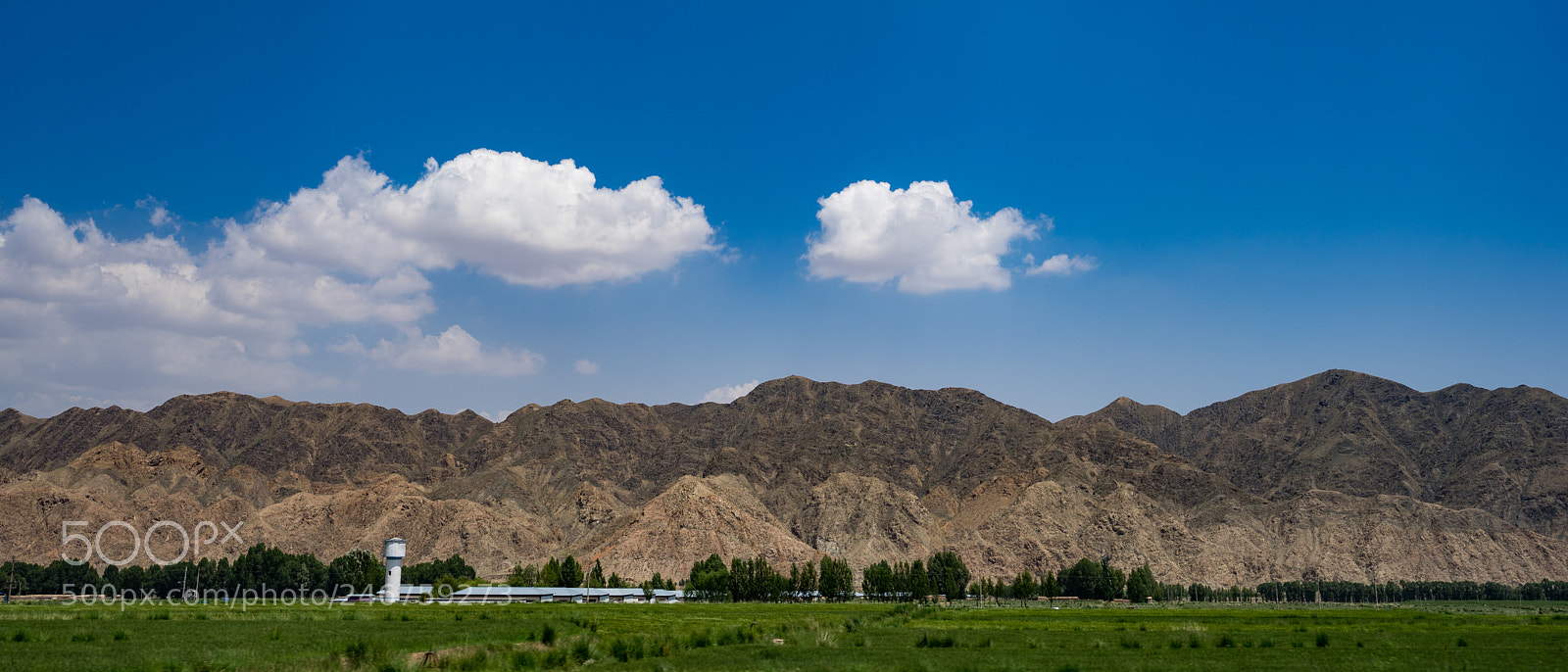 Sony a7 II sample photo. On the way to photography