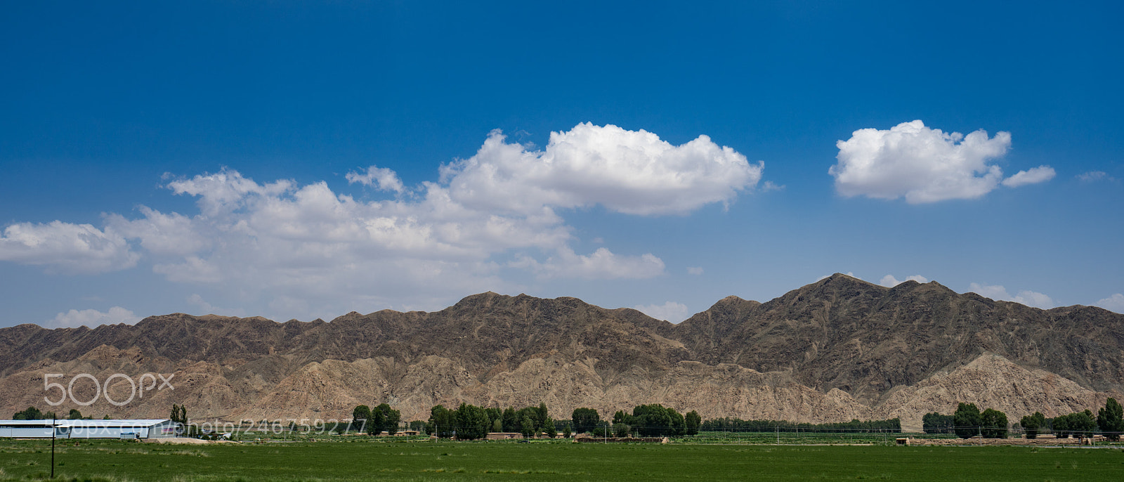 Sony a7 II sample photo. On the way to photography