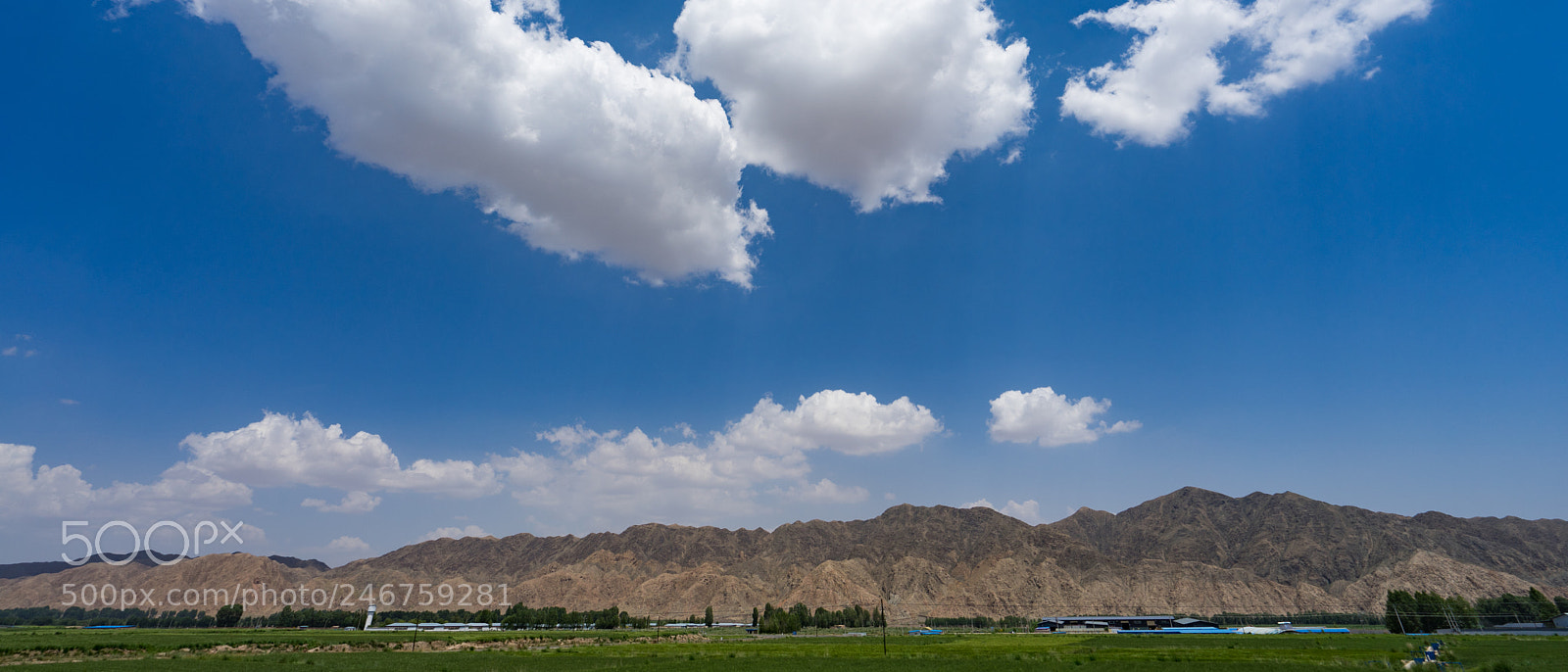 Sony a7 II sample photo. On the way to photography