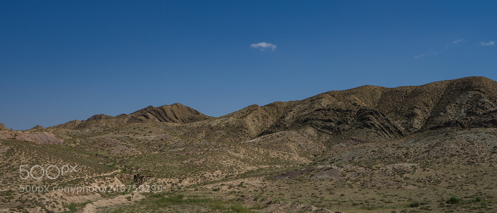 Sony a7 II sample photo. On the way to photography
