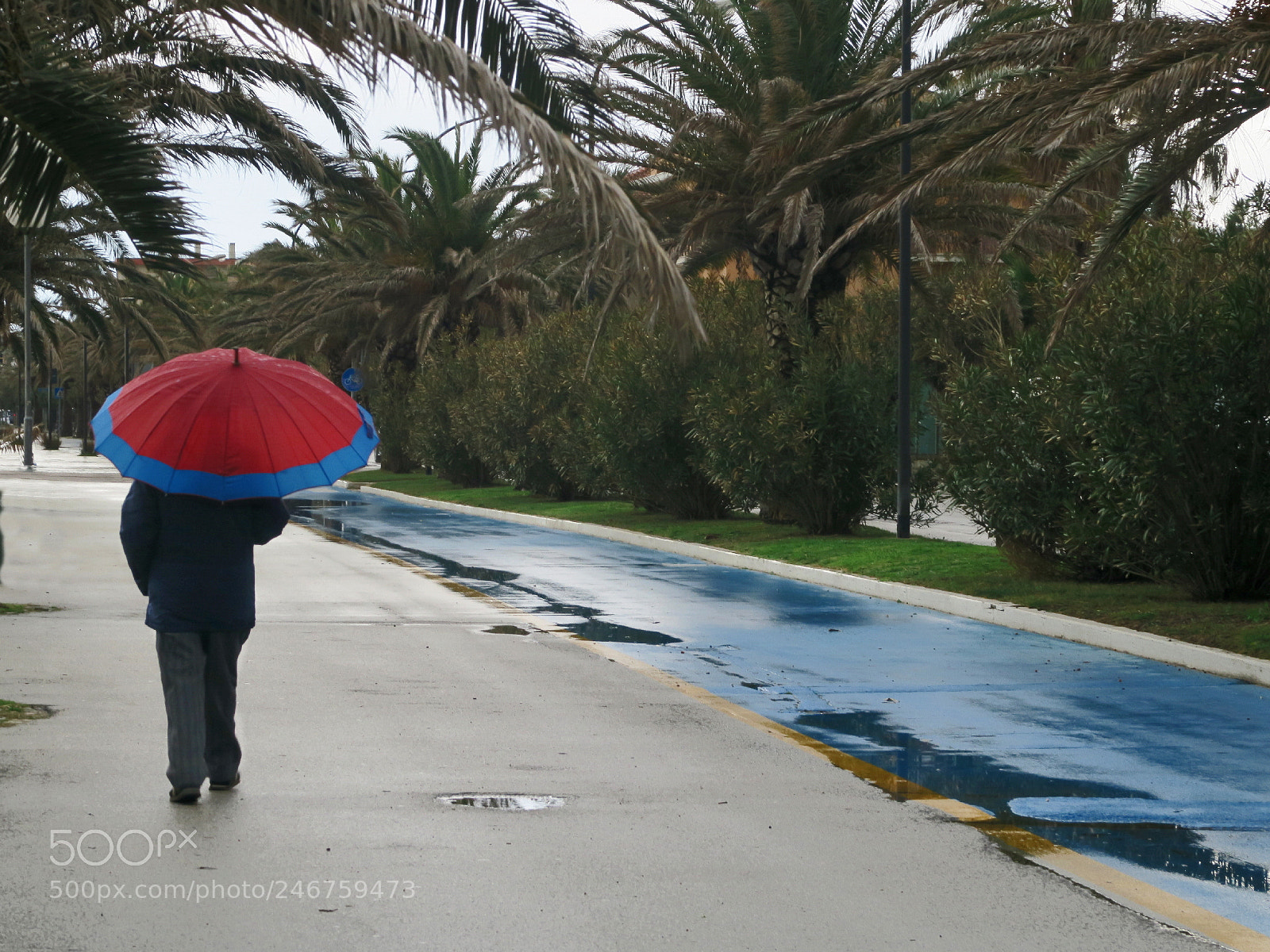 Canon PowerShot G7 X sample photo. The red-blu umbrella photography