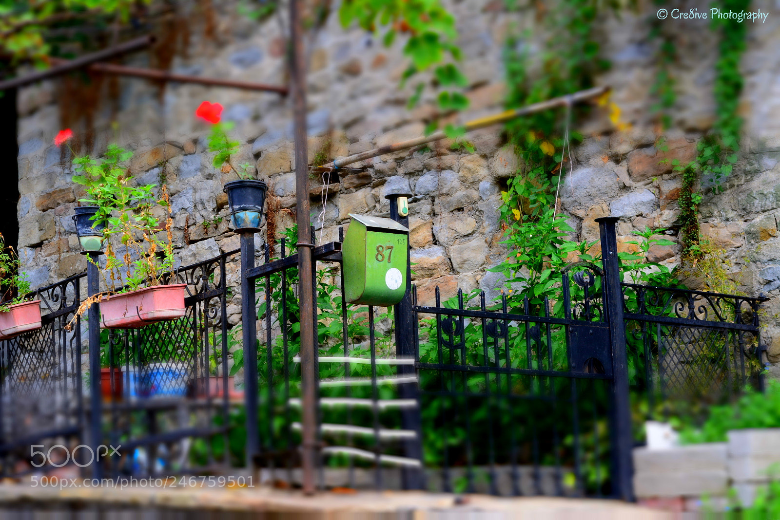 Nikon D5200 sample photo. Entering a cozy place photography