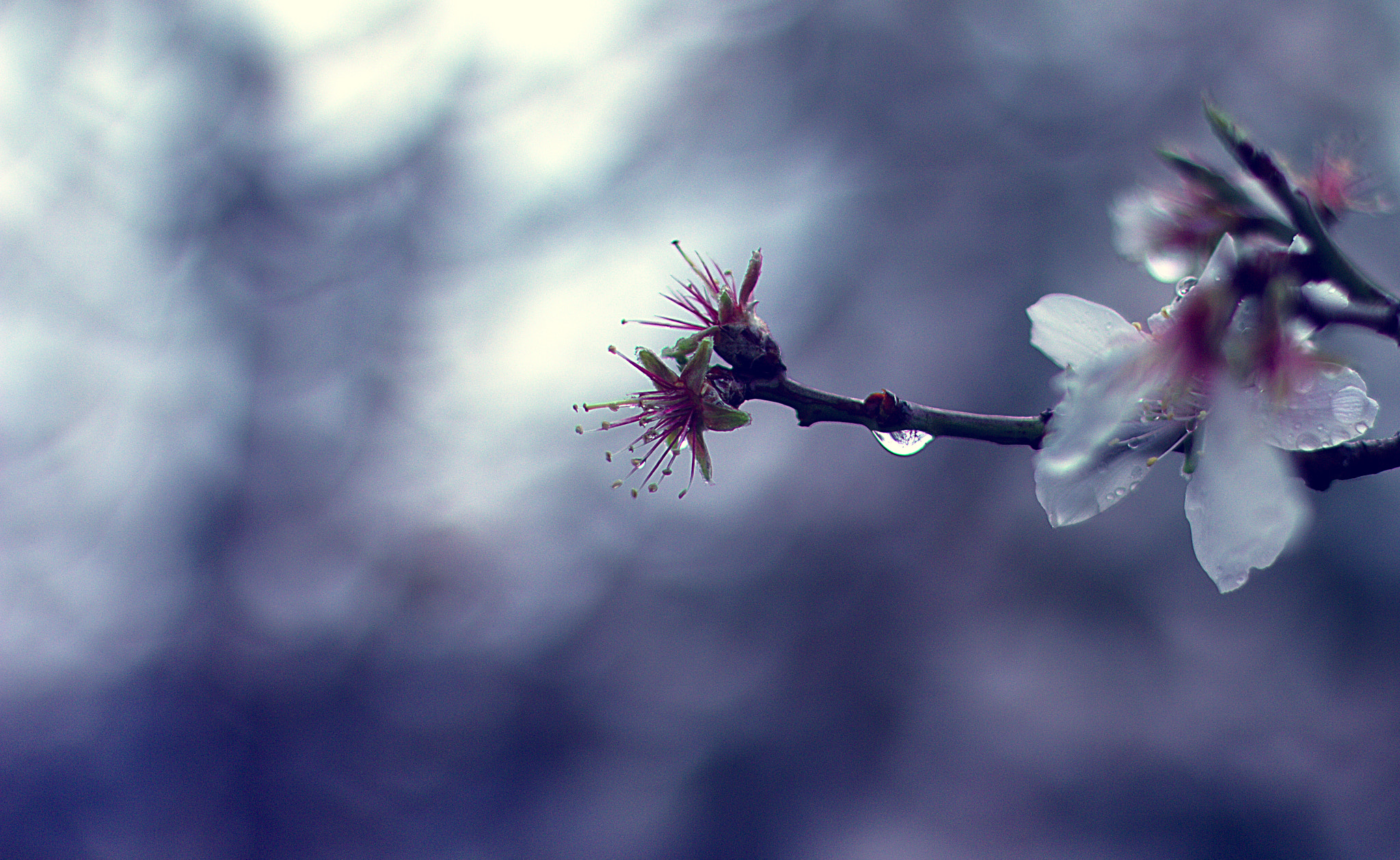 Canon EOS 60D + Canon EF 50mm F1.4 USM sample photo. Crying... photography