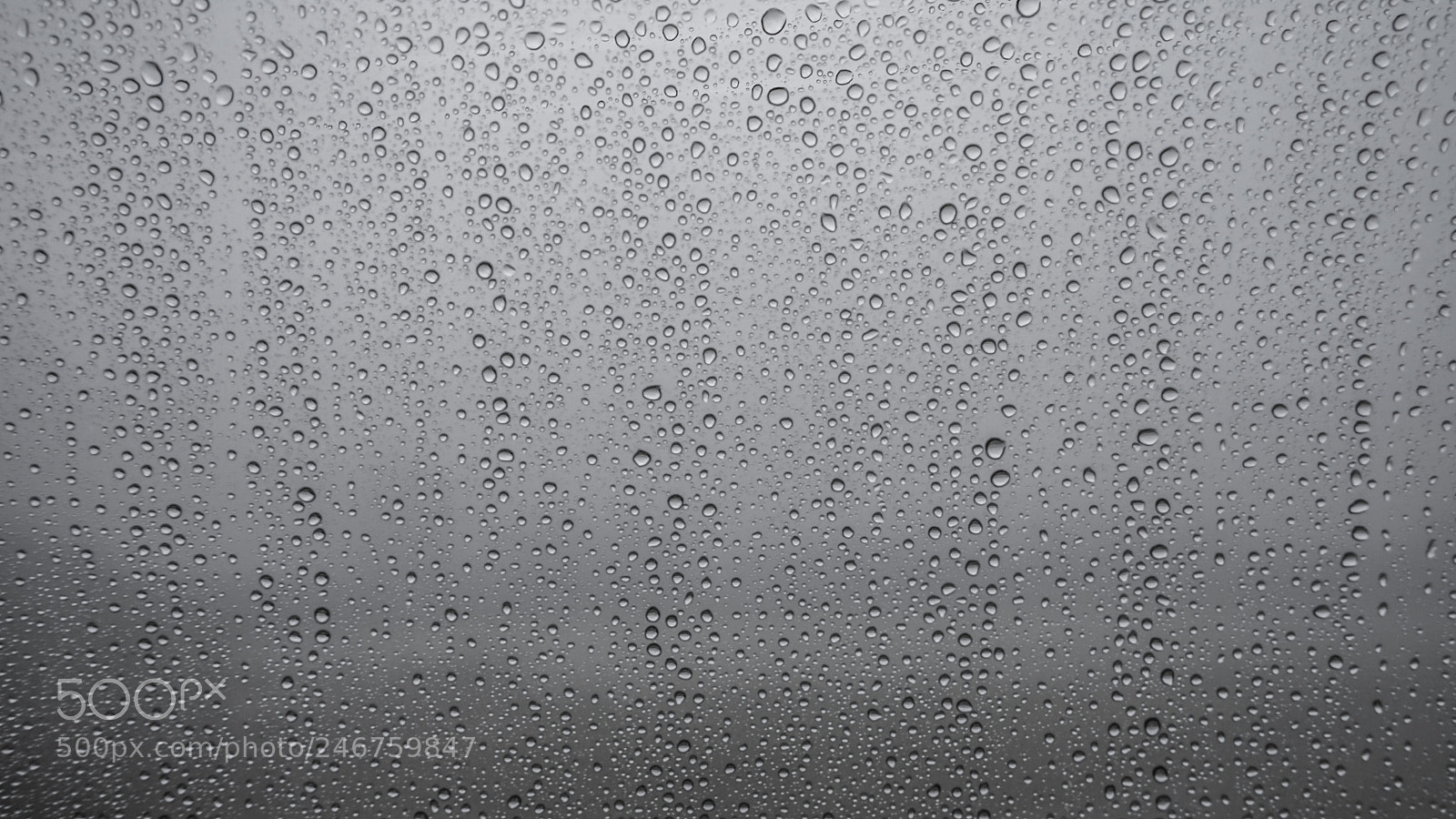 Sony a7 II sample photo. Drop of water 水珠 photography
