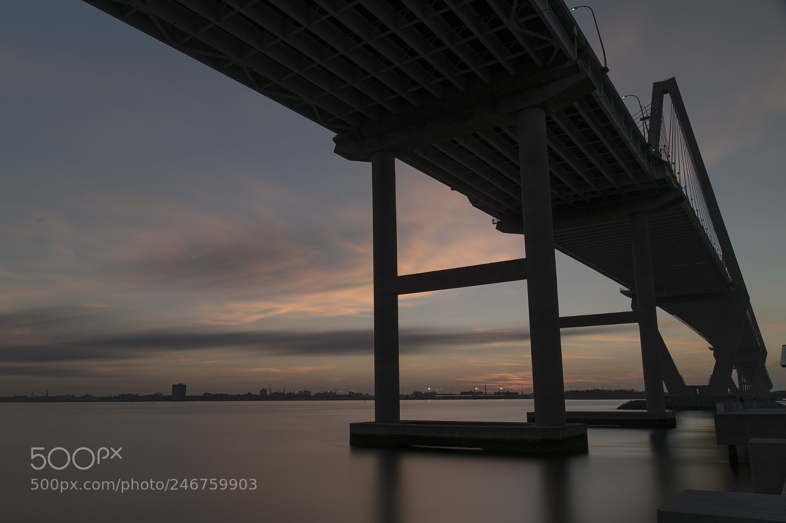 Nikon D750 sample photo. Sunset under ravenel bridge photography