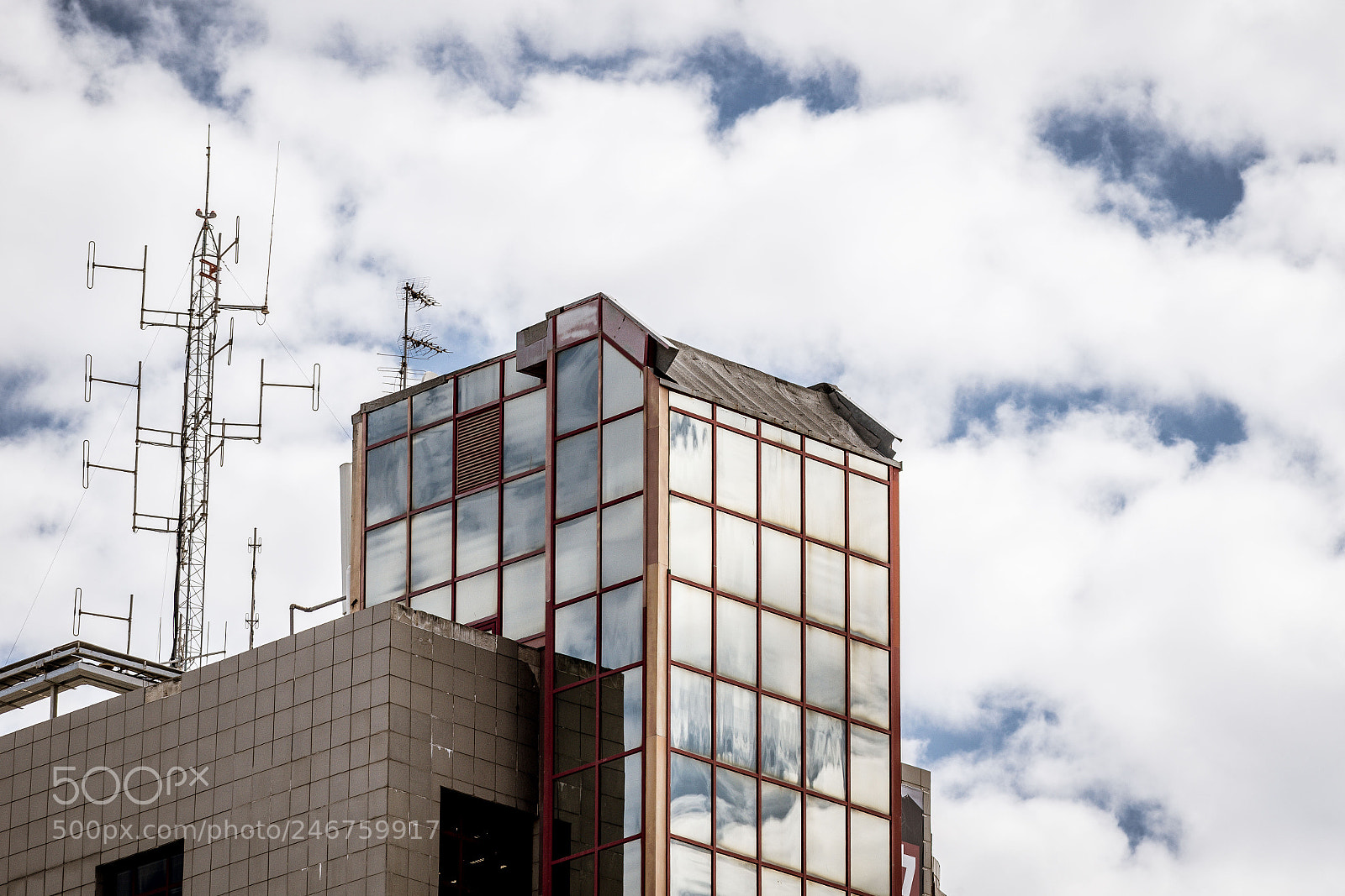 Nikon D5600 sample photo. Reflection photography