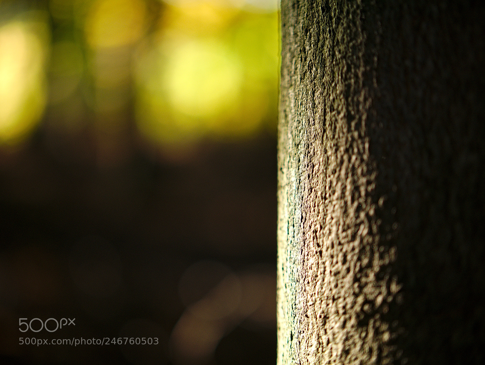Panasonic Lumix DMC-GX7 sample photo. Herbstleuchten photography