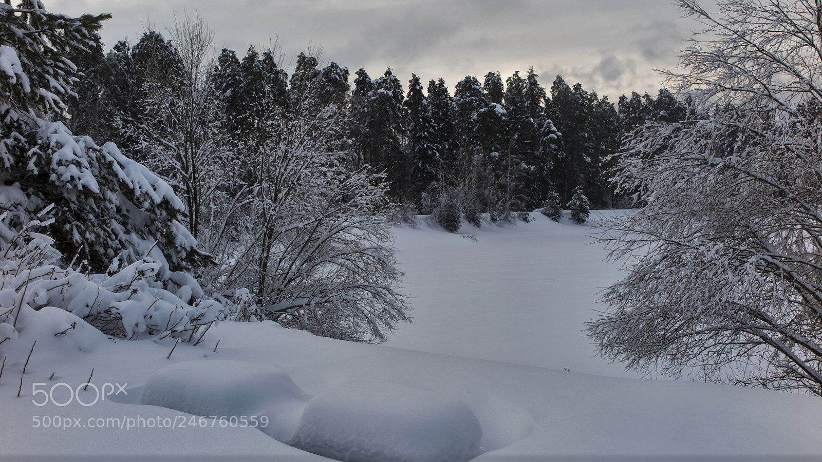 Canon PowerShot G1 X Mark II sample photo. Winter wonderland. photography