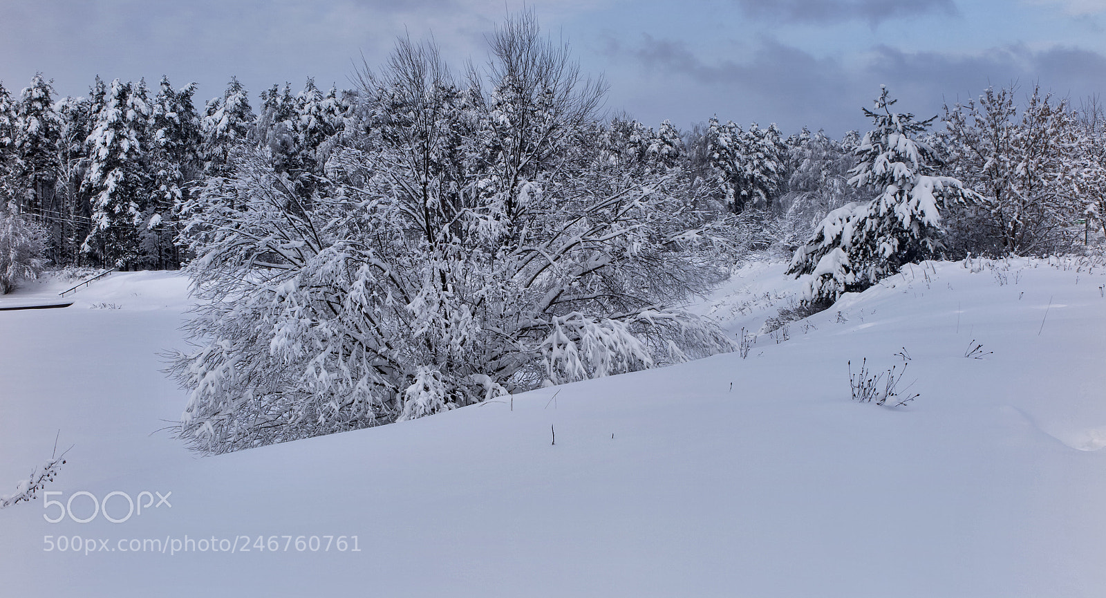 Canon PowerShot G1 X Mark II sample photo. Winter wonderland. photography