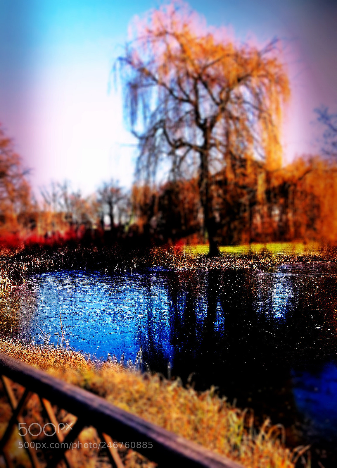 Canon PowerShot SX50 HS sample photo. Winter lights photography