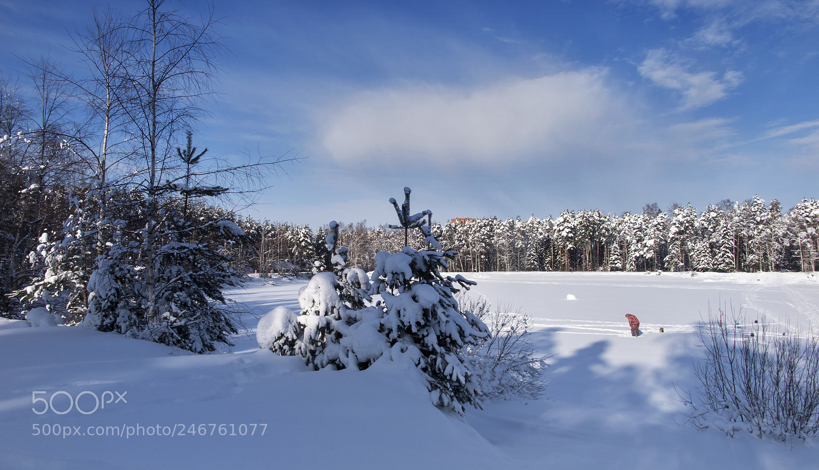 Canon PowerShot G1 X Mark II sample photo. Winter wonderland. photography
