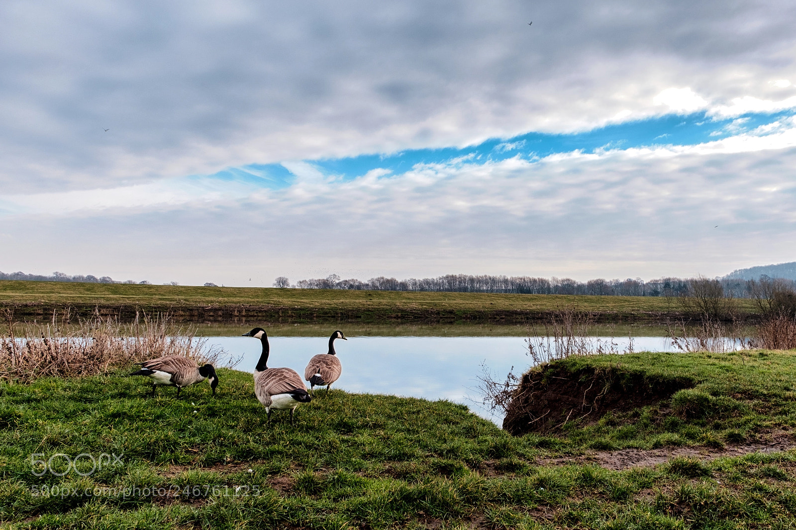 Fujifilm X-T2 sample photo. Stoke barldolph photography