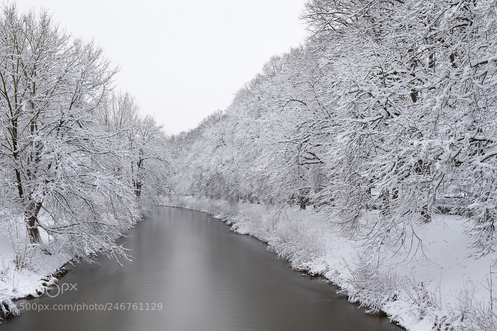 Canon EOS-1D X sample photo. Winter am wertachkanal 2 photography