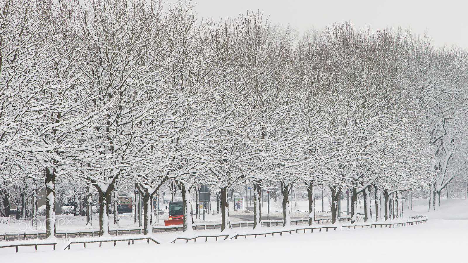 Canon EOS-1D X sample photo. Schneepflug photography