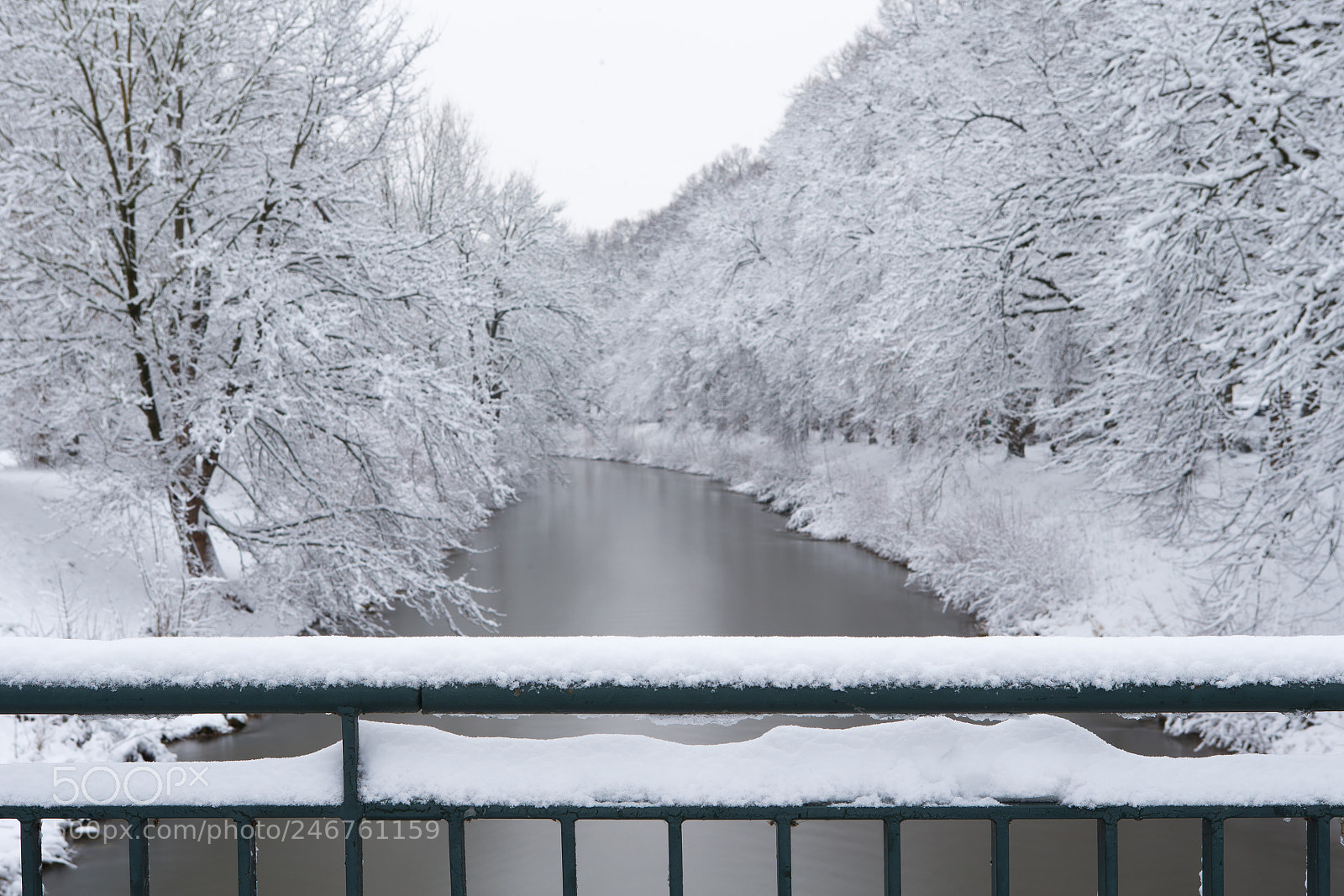 Canon EOS-1D X sample photo. Winter am wertachkanal photography