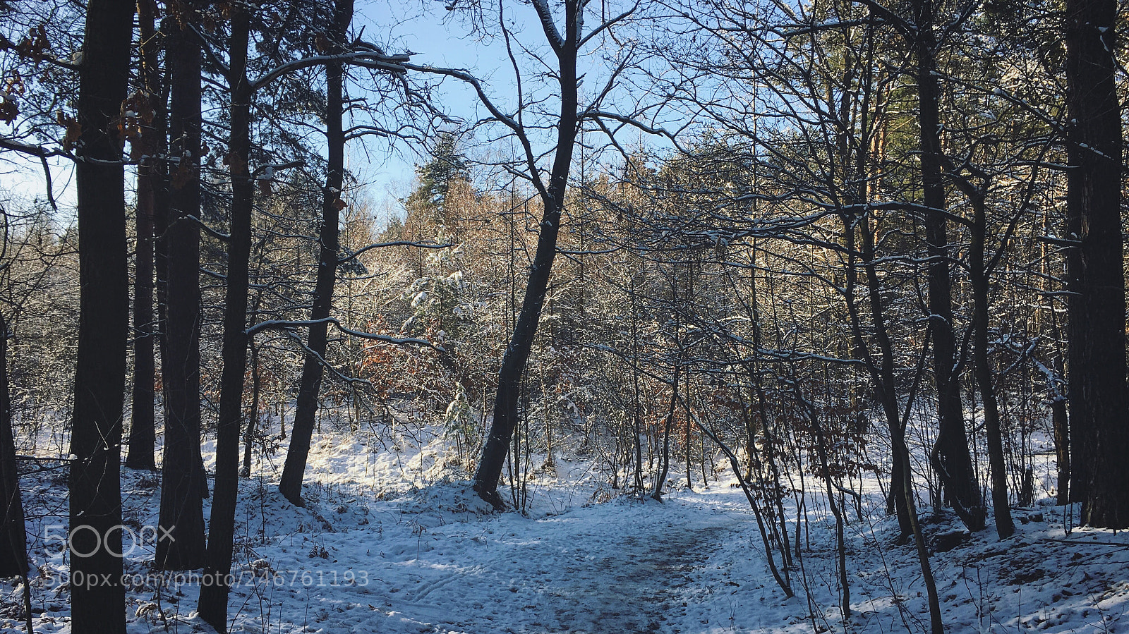 Apple iPhone 6s sample photo. And sometimes winter in photography