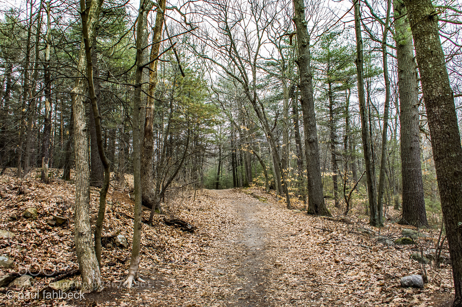 Nikon D7200 sample photo. Trail photography