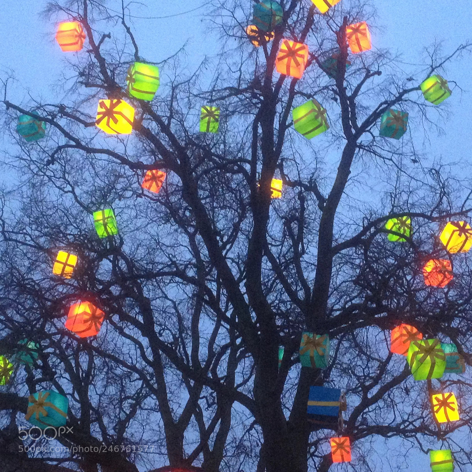 Apple iPhone 4S sample photo. A tree in lund photography