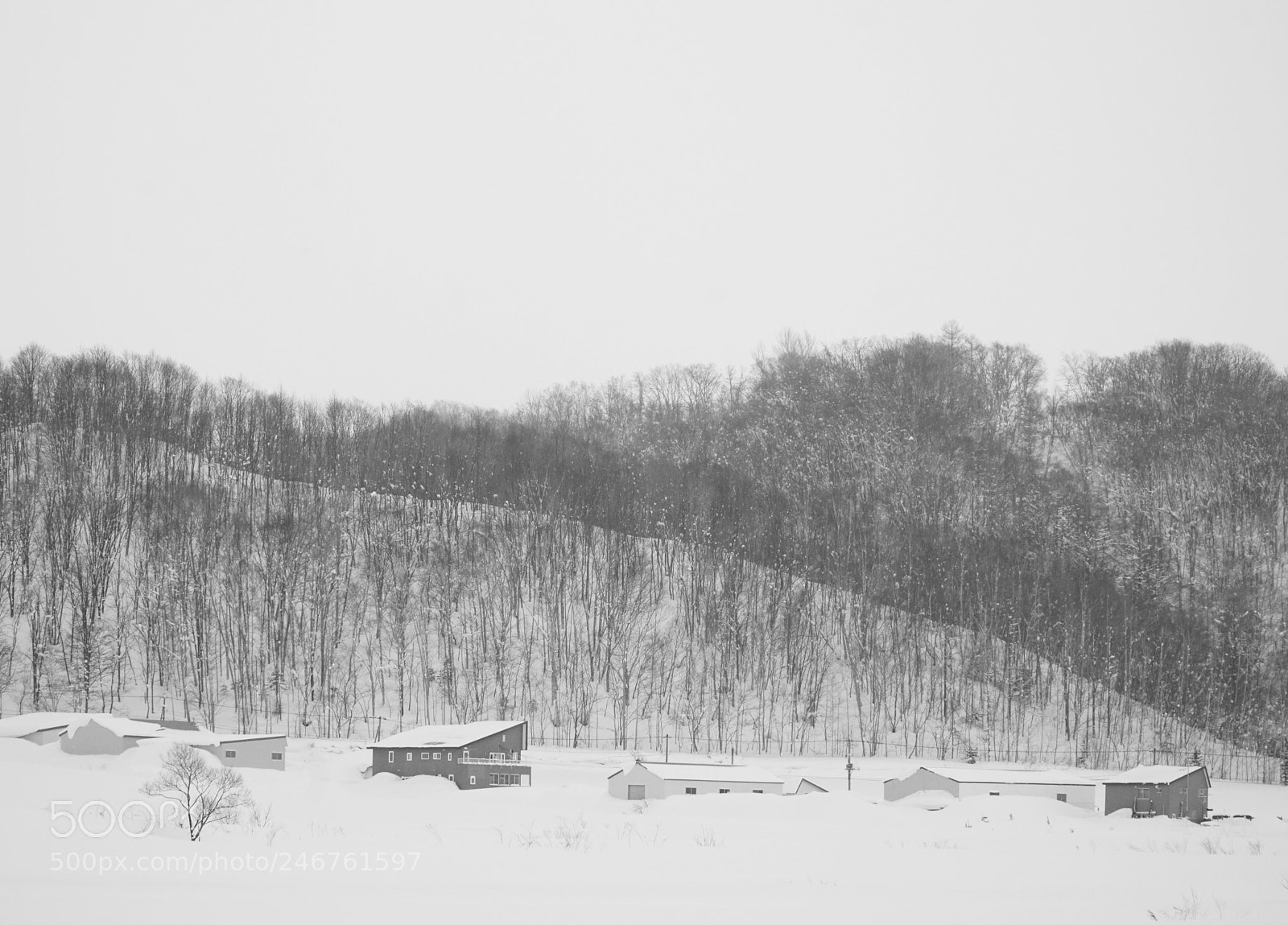 Sony a6300 sample photo. Japan chitose town photography