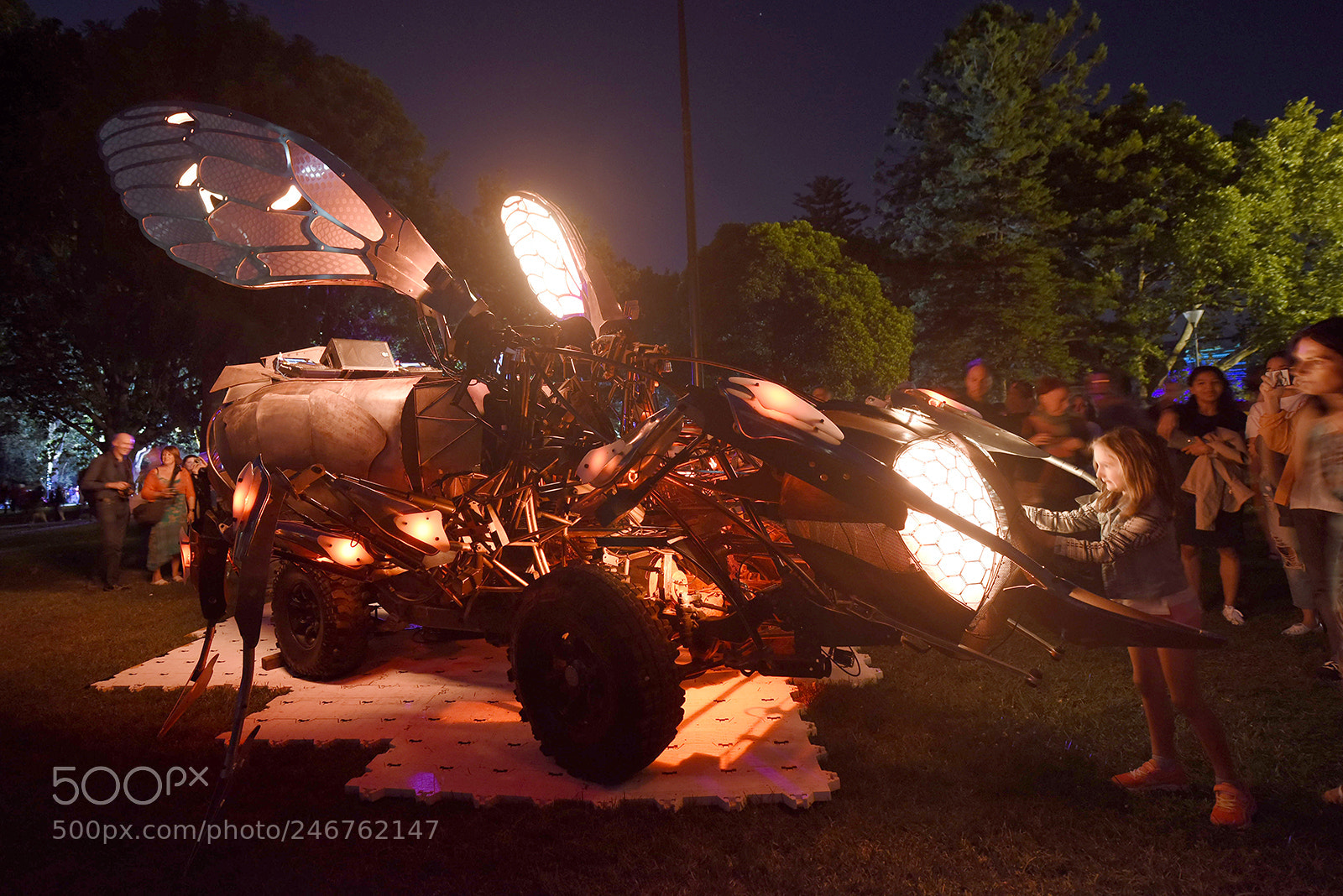 Nikon D810 sample photo. Uki utility kinetic insect photography