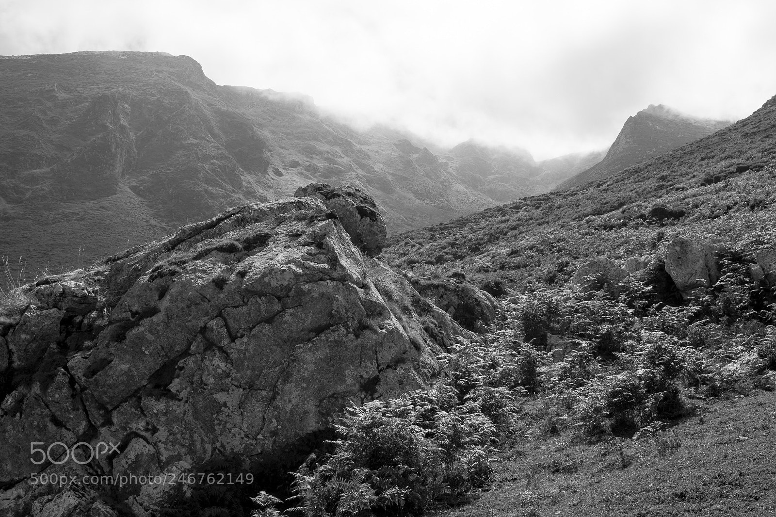 Nikon D5200 sample photo. Sendero de la pared photography