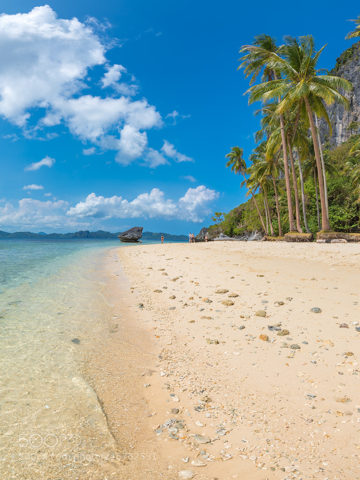 Nikon D750 sample photo. Coconut trees on the photography