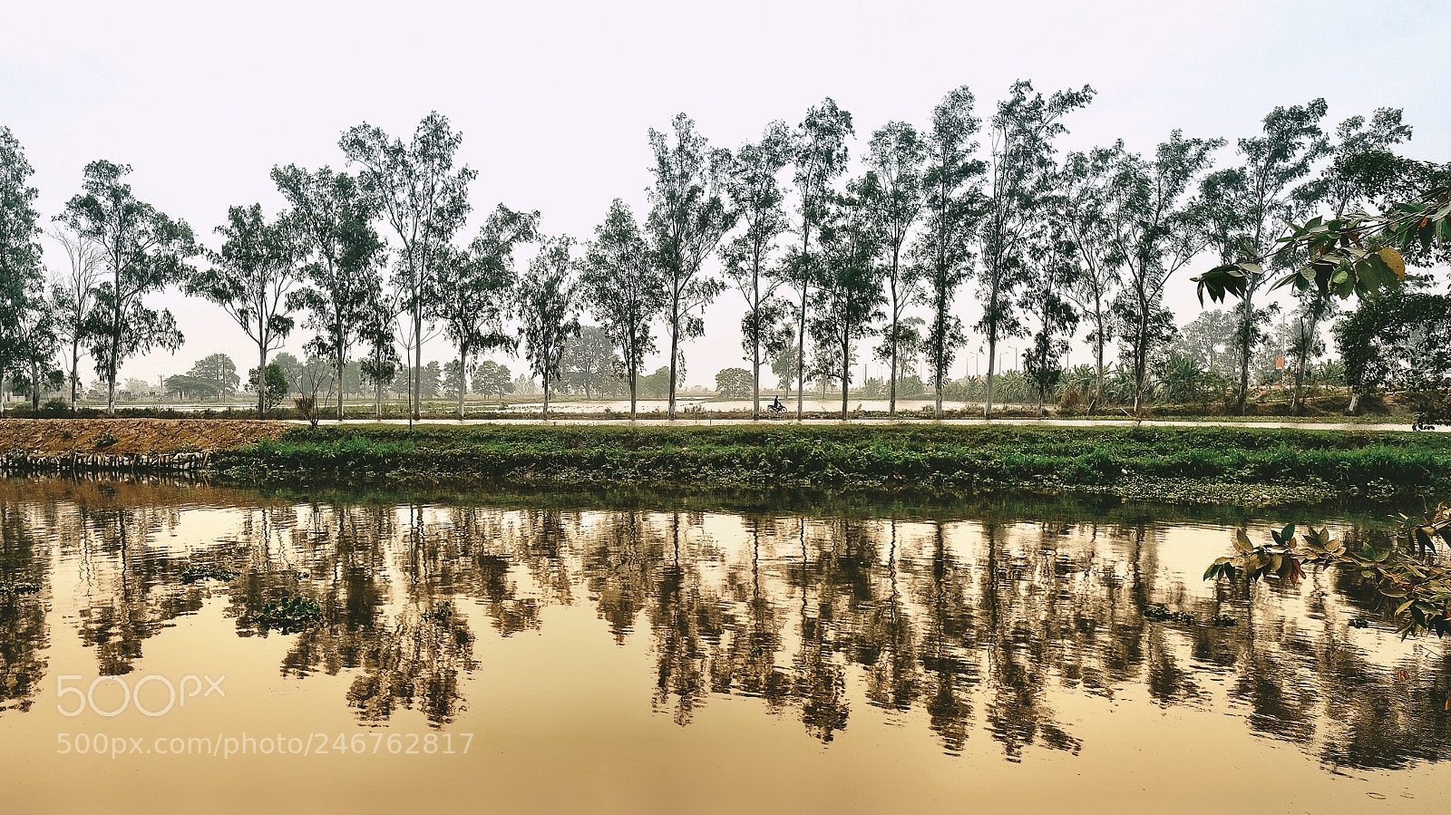 Fujifilm X-T20 sample photo. Untitled photography