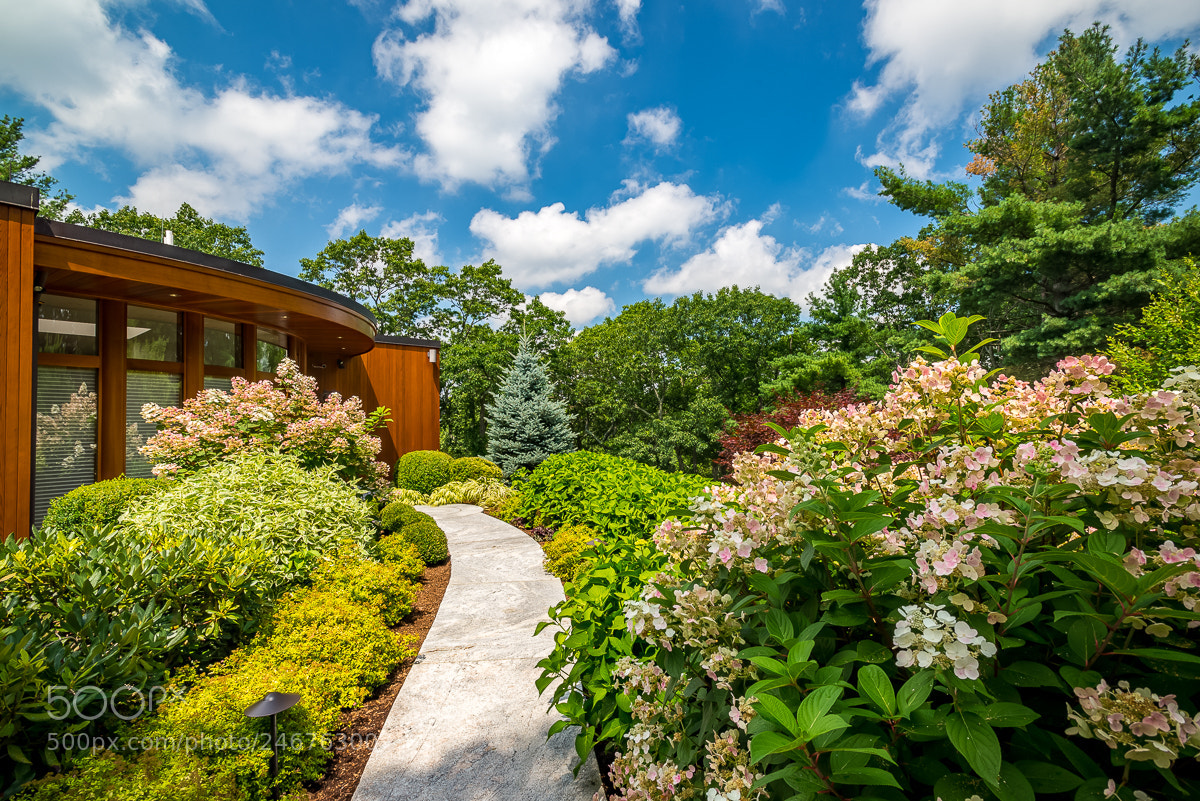 Nikon D610 sample photo. Missing the warm weather photography
