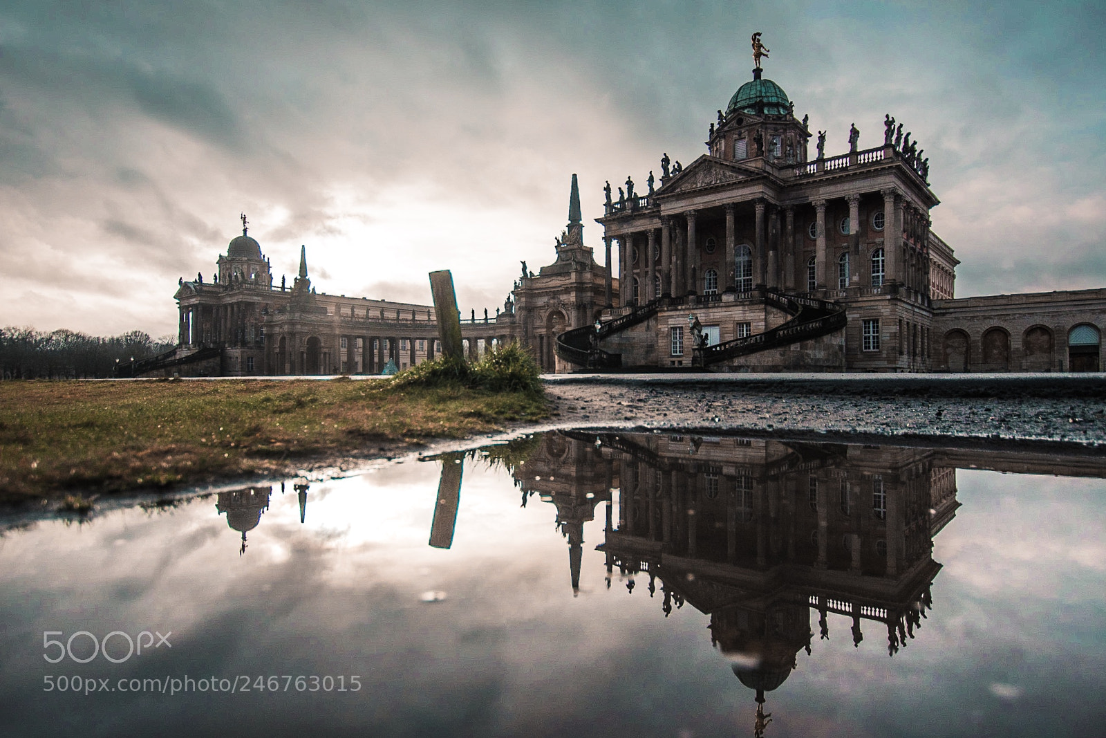 Nikon D500 sample photo. New palace reflections photography