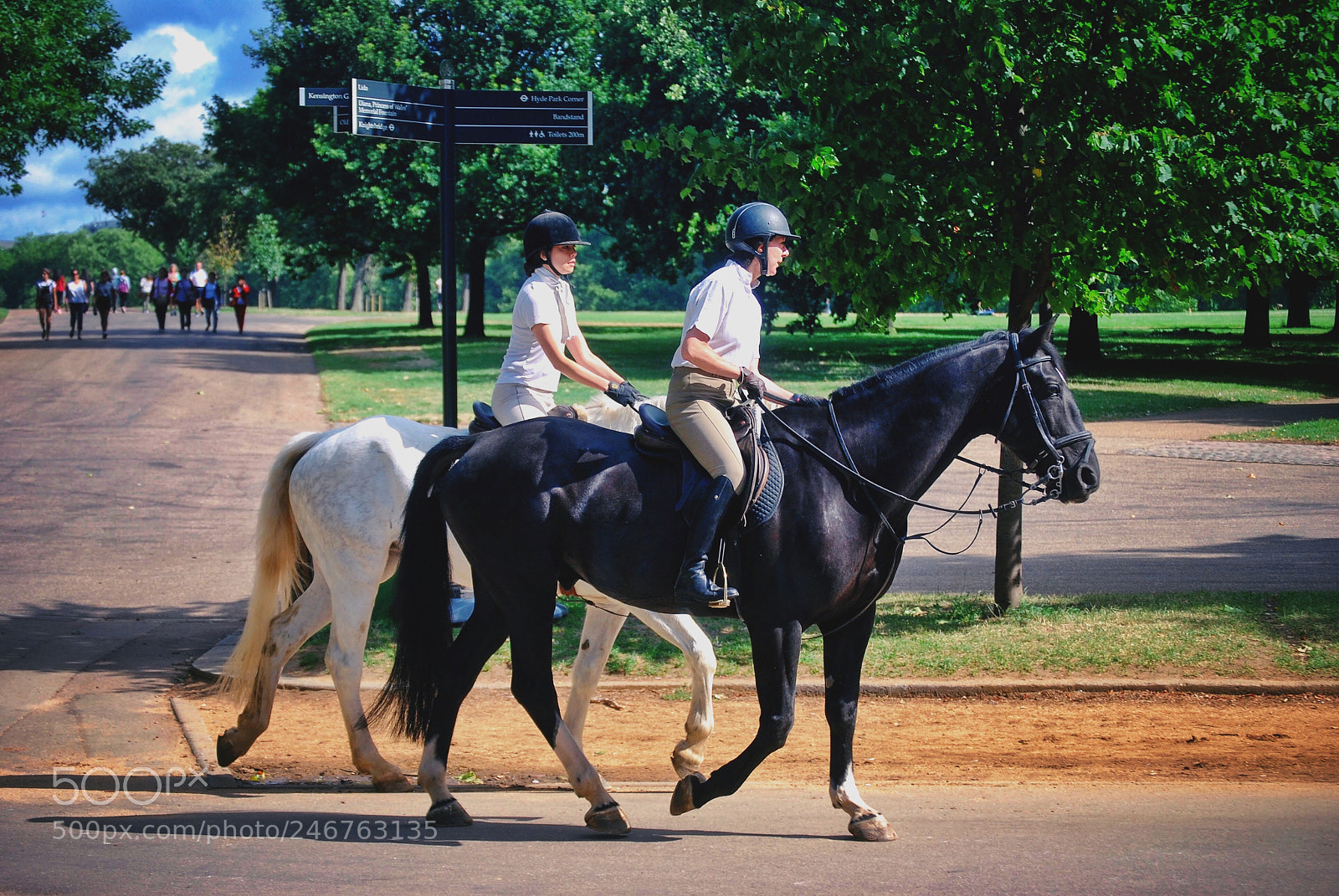 Nikon D40X sample photo. Riding at hyde park photography
