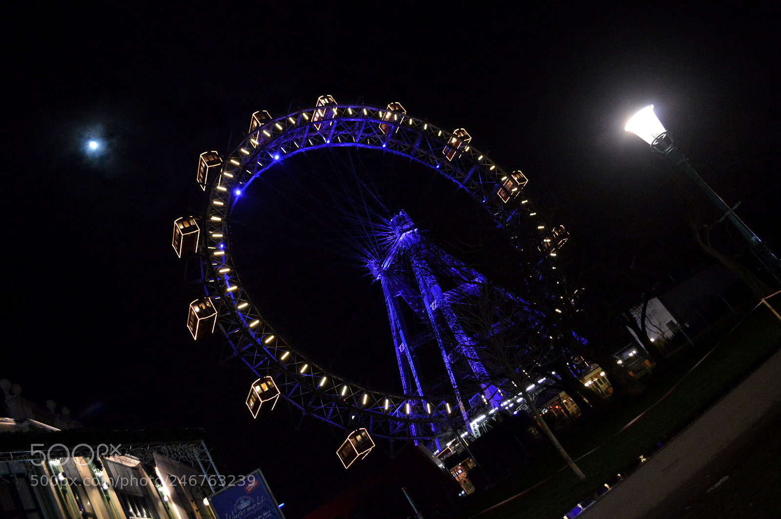 Nikon D3200 sample photo. When the lights go photography